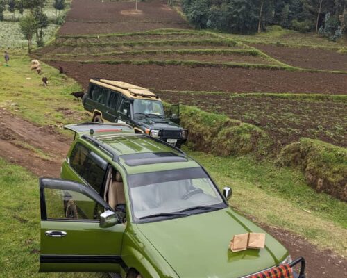 SAFARI LANDCRUISER