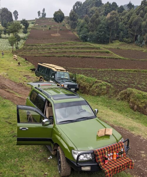 SAFARI LANDCRUISER